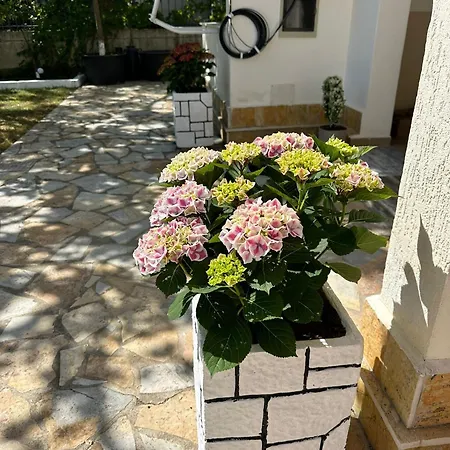 Clarissa Ξενοδοχείο