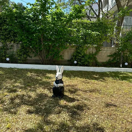 Clarissa Ξενοδοχείο *