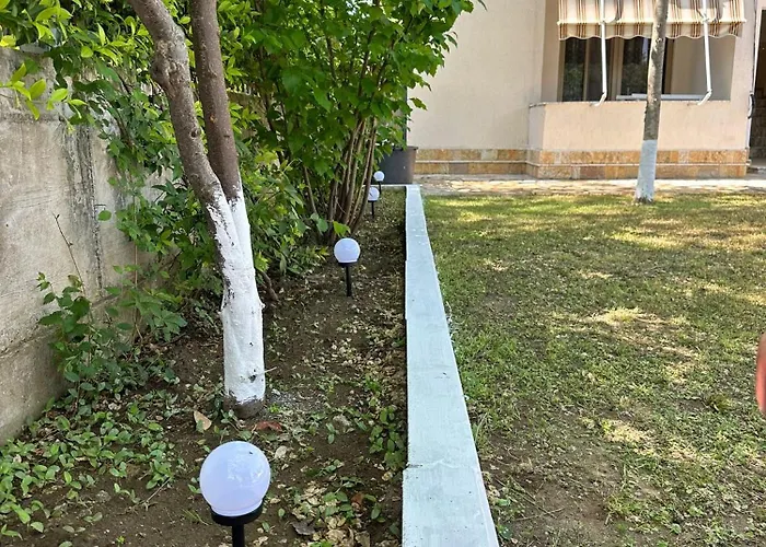 Clarissa * Velipojë