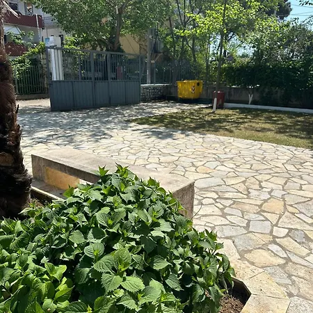 Clarissa * Velipojë